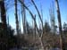 thru-hike '05 113