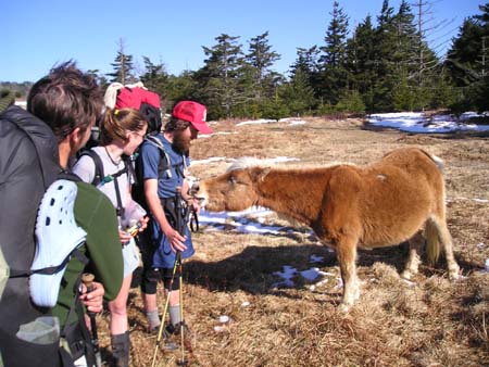 thru-hike '05 108