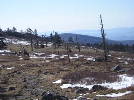 thru-hike '05 098