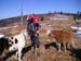 thru-hike '05 111