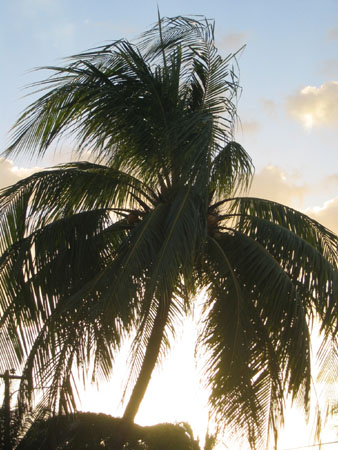 Thomas's SMI photos 027