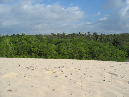 Thomas's SMI photos 064