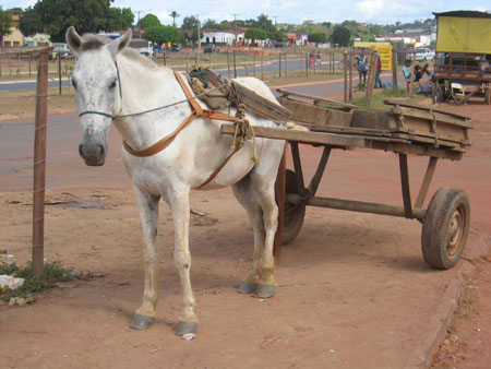 Thomas's SMI photos 069