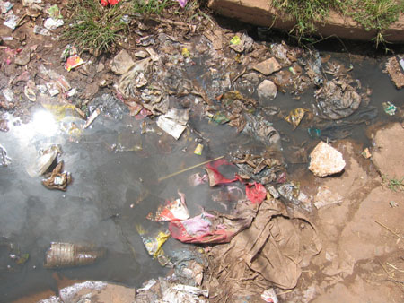 Thomas's SMI photos 073