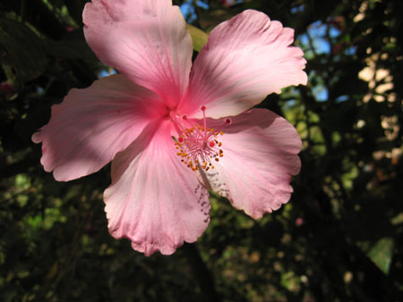 Thomas's SMI photos 155