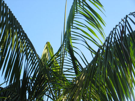 Thomas's SMI photos 157