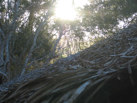 Thomas's SMI photos 181