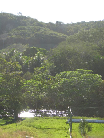 Thomas's SMI photos 235