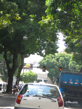 Thomas's SMI photos 311