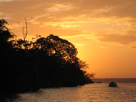 Thomas's SMI photos 402