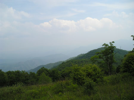 Picture 054