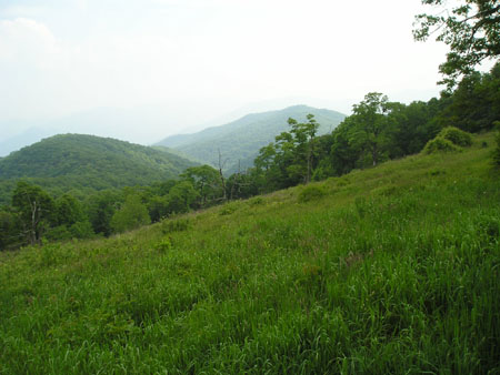 Picture 059