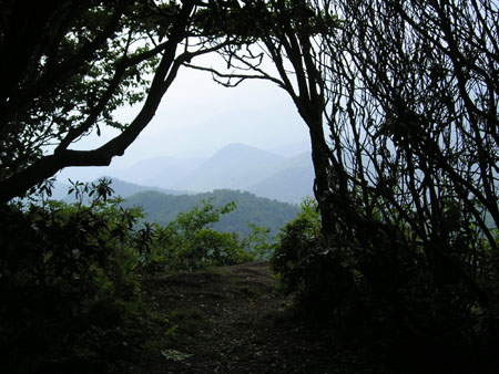 Picture 063