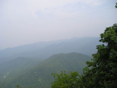 Picture 071