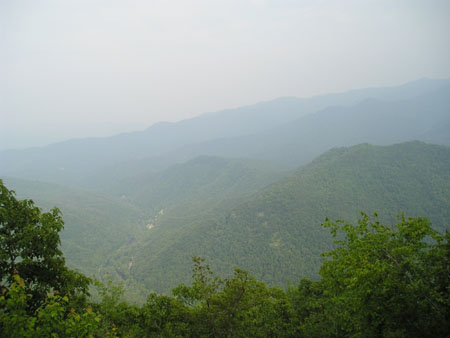 Picture 072