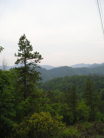 Picture 081