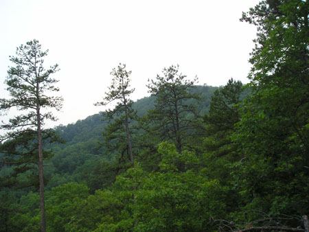 Picture 082