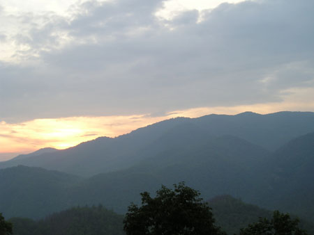 Picture 083