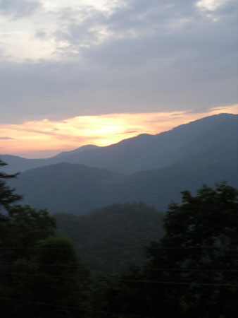 Picture 084