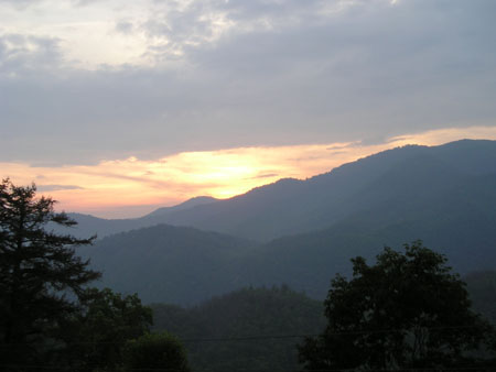 Picture 085