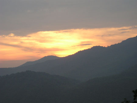 Picture 087