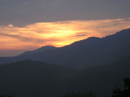 Picture 088