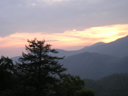 Picture 089