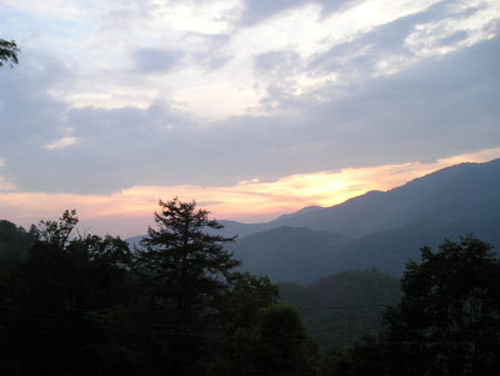Picture 095