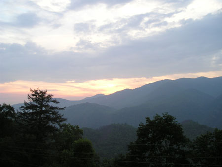 Picture 098