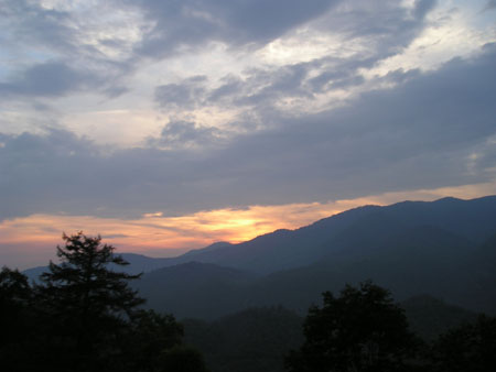Picture 099