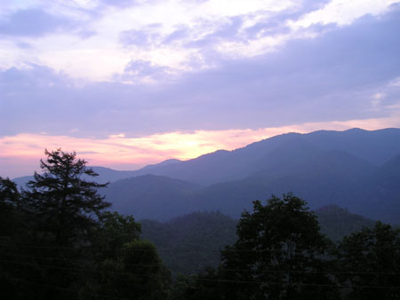 Picture 100