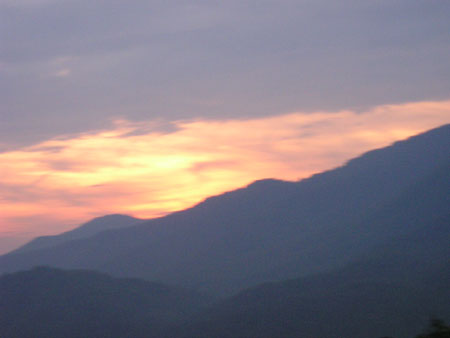 Picture 102