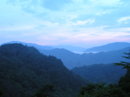 Picture 110