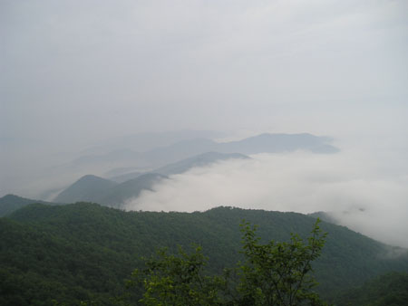 Picture 120