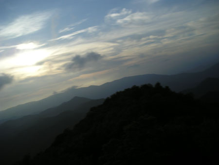 Picture 154